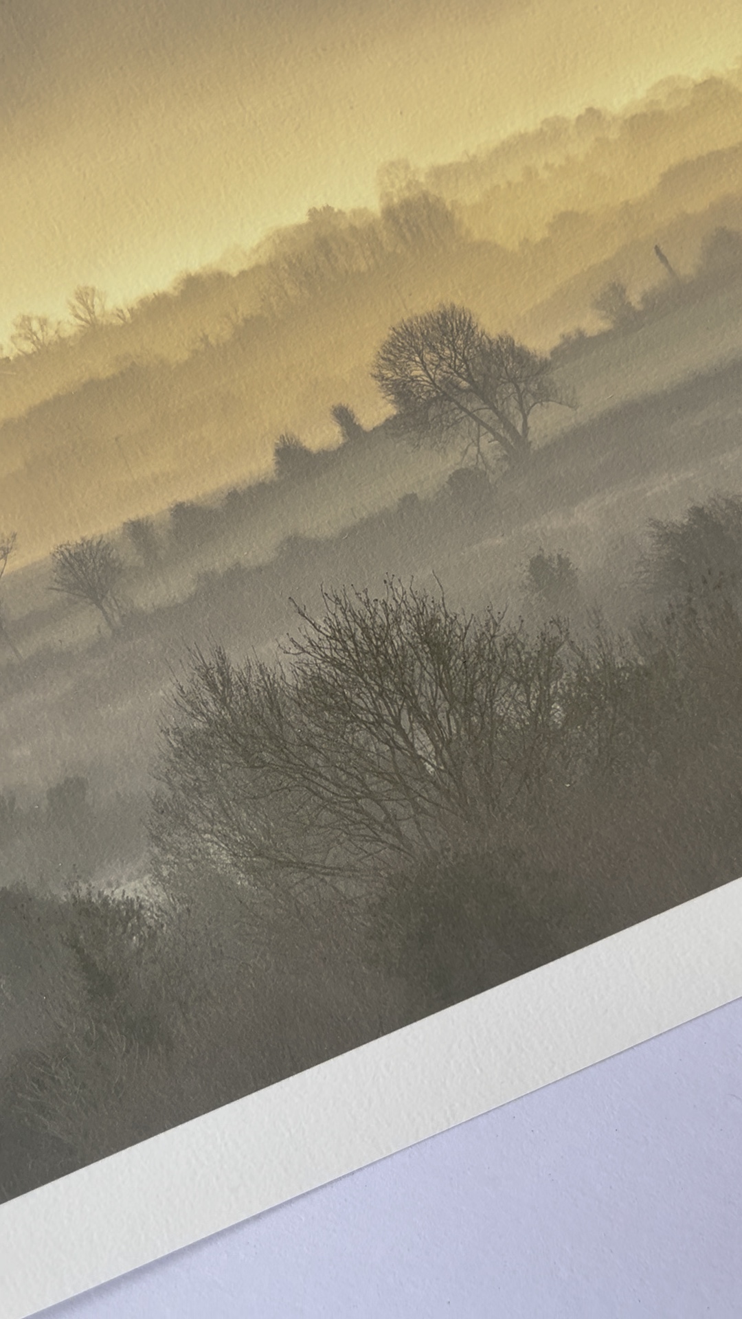 Texture detail