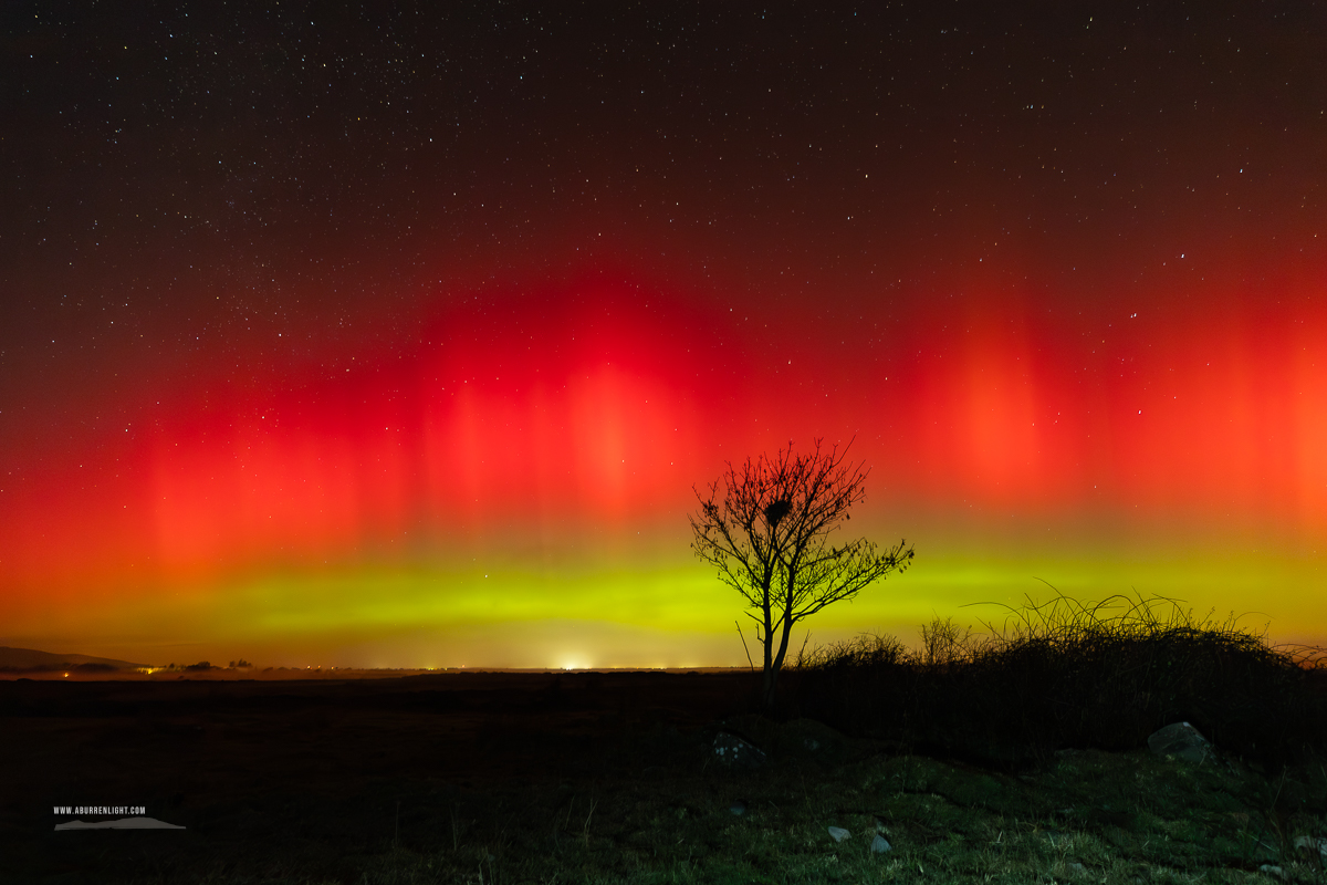 A Burren Lone Tree Clare Ireland - astro,aurora,january,lone tree,lowland,night,winter,portfolio