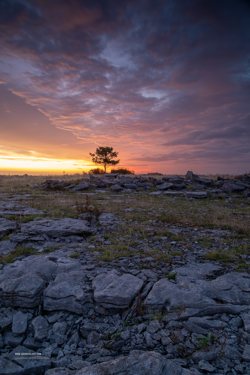 Solitary tree beyond stepped limestone rocks under a pink and mauve twilight sky in the Burren, County Clare