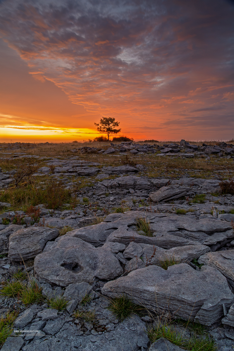 Lone tree above broad limestone slabs as fiery orange dawn light spreads beneath dark clouds in the Burren