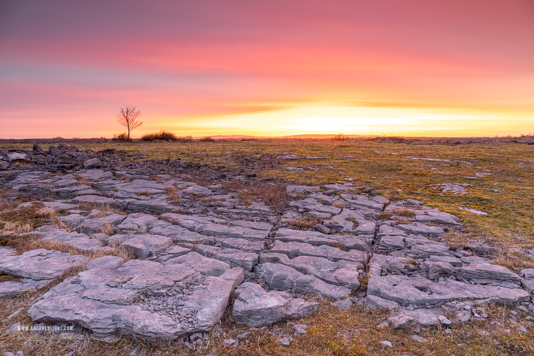 A Burren Lone Tree Clare Ireland - lone tree,march,orange,pink,twilight,winter,lowland