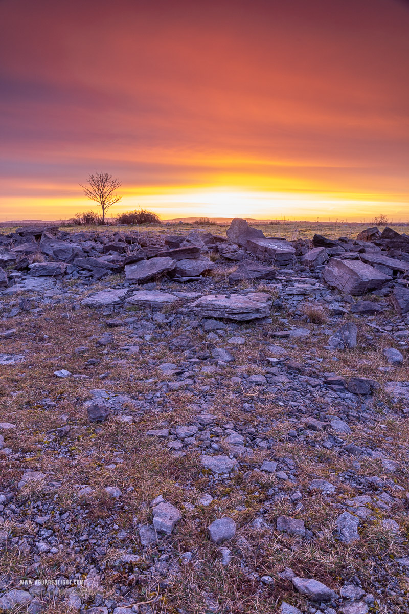 A Burren Lone Tree Clare Ireland - lone tree,march,orange,pink,twilight,winter,orange,lowland