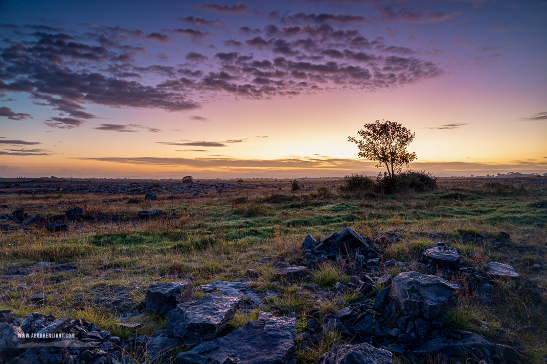 A Burren Lone Tree Clare Ireland - autumn,lone tree,long exposure,october,twilight,lowland