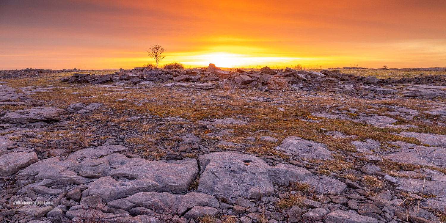 A Burren Lone Tree Clare Ireland - lone tree,march,orange,panorama,twilight,winter,lowland,orange