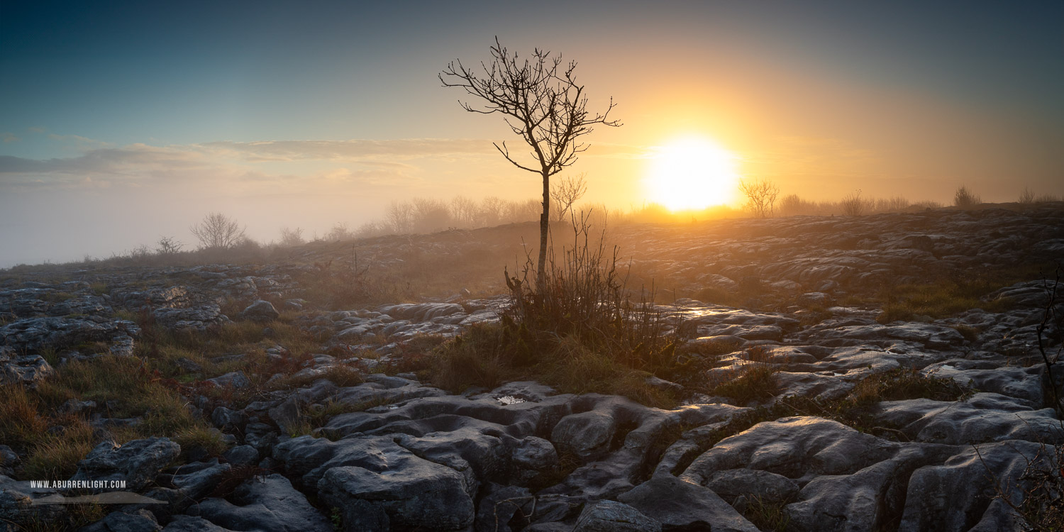 A Burren Lone Tree Clare Ireland - autumn,december,lone tree,mist,panorama,sunset,park