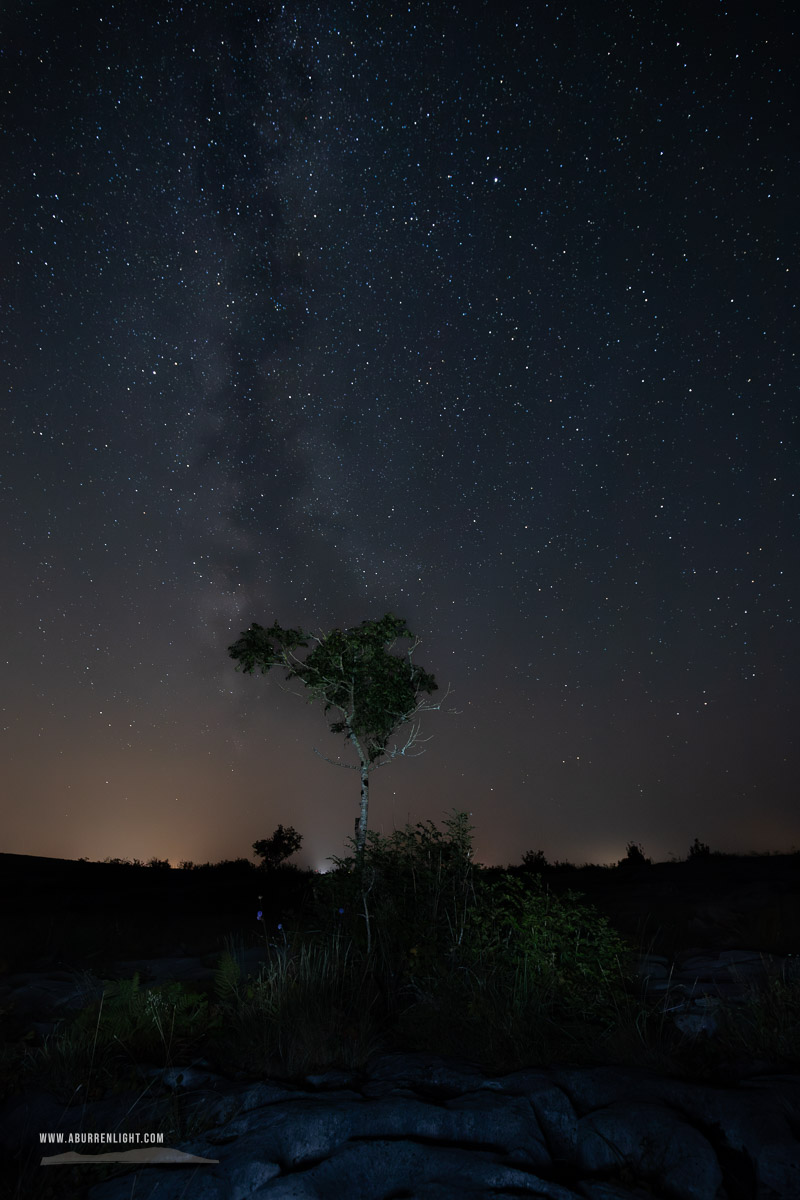 A Burren Lone Tree Clare Ireland - astro,august,lone tree,long exposure,milky way,night,park,summer