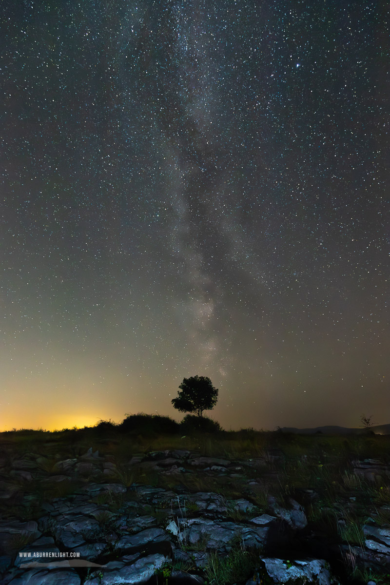 A Burren Lone Tree Clare Ireland - astro,august,lone tree,long exposure,lowland,milky way,night,summer