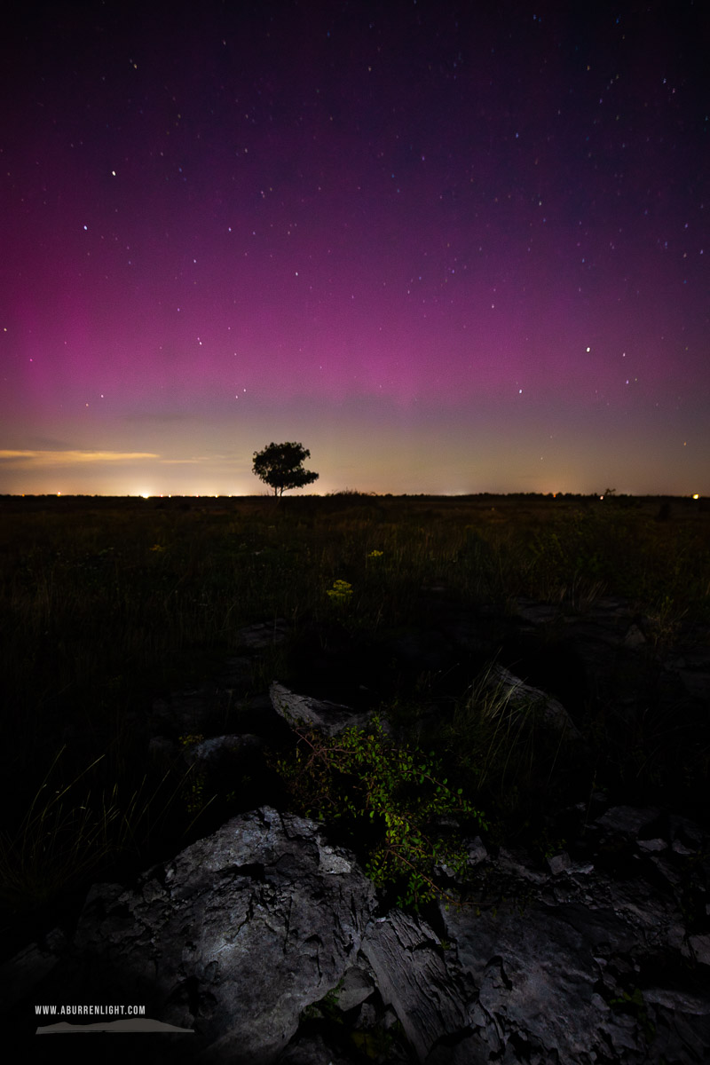 A Burren Lone Tree Clare Ireland - astro,aurora,lone tree,lowland,september,summer,long exposure,night