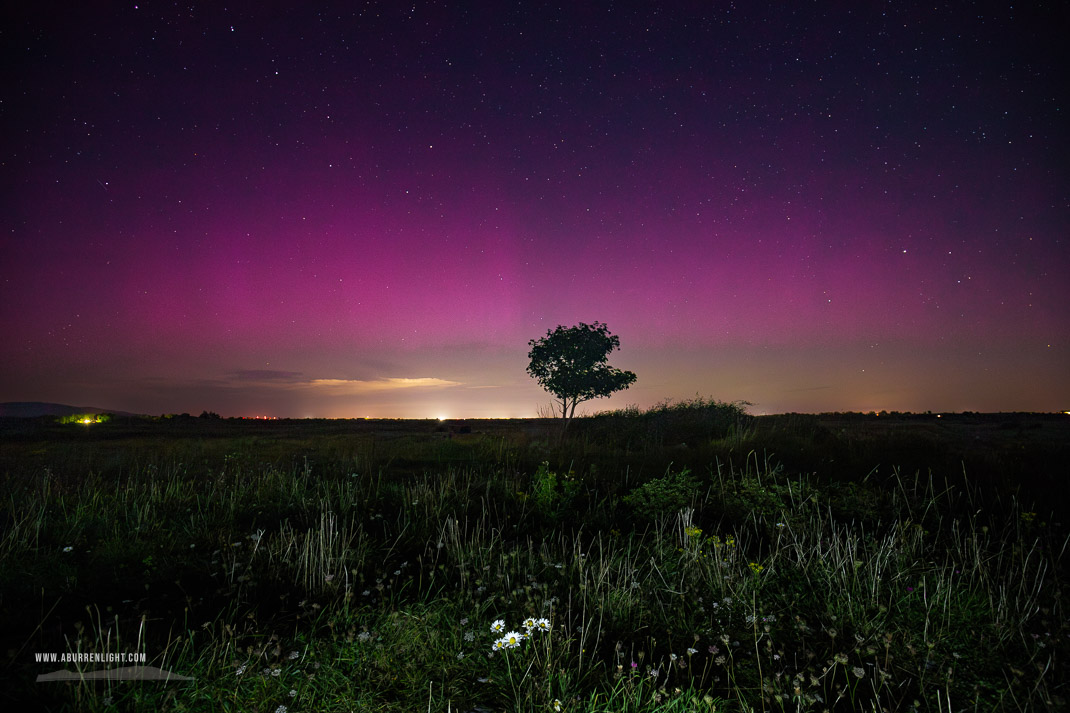 A Burren Lone Tree Clare Ireland - astro,aurora,lone tree,lowland,september,summer,long exposure,night