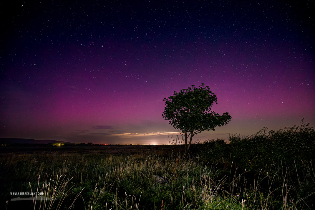 A Burren Lone Tree Clare Ireland - astro,aurora,lone tree,lowland,september,summer,night