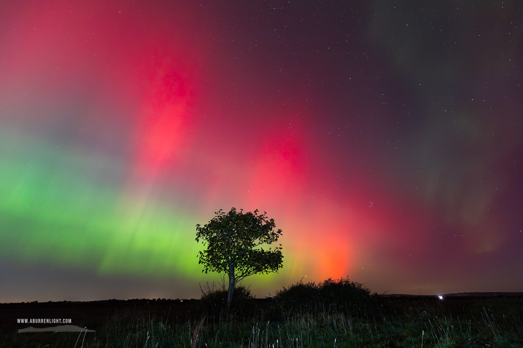 A Burren Lone Tree Clare Ireland - astro,aurora,autumn,lone tree,lowland,night,october,pilars,portfolio