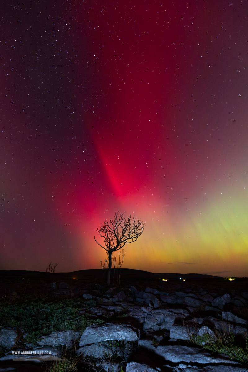 A Burren Lone Tree Clare Ireland - astro,aurora,autumn,lone tree,lowland,night,october,pilars