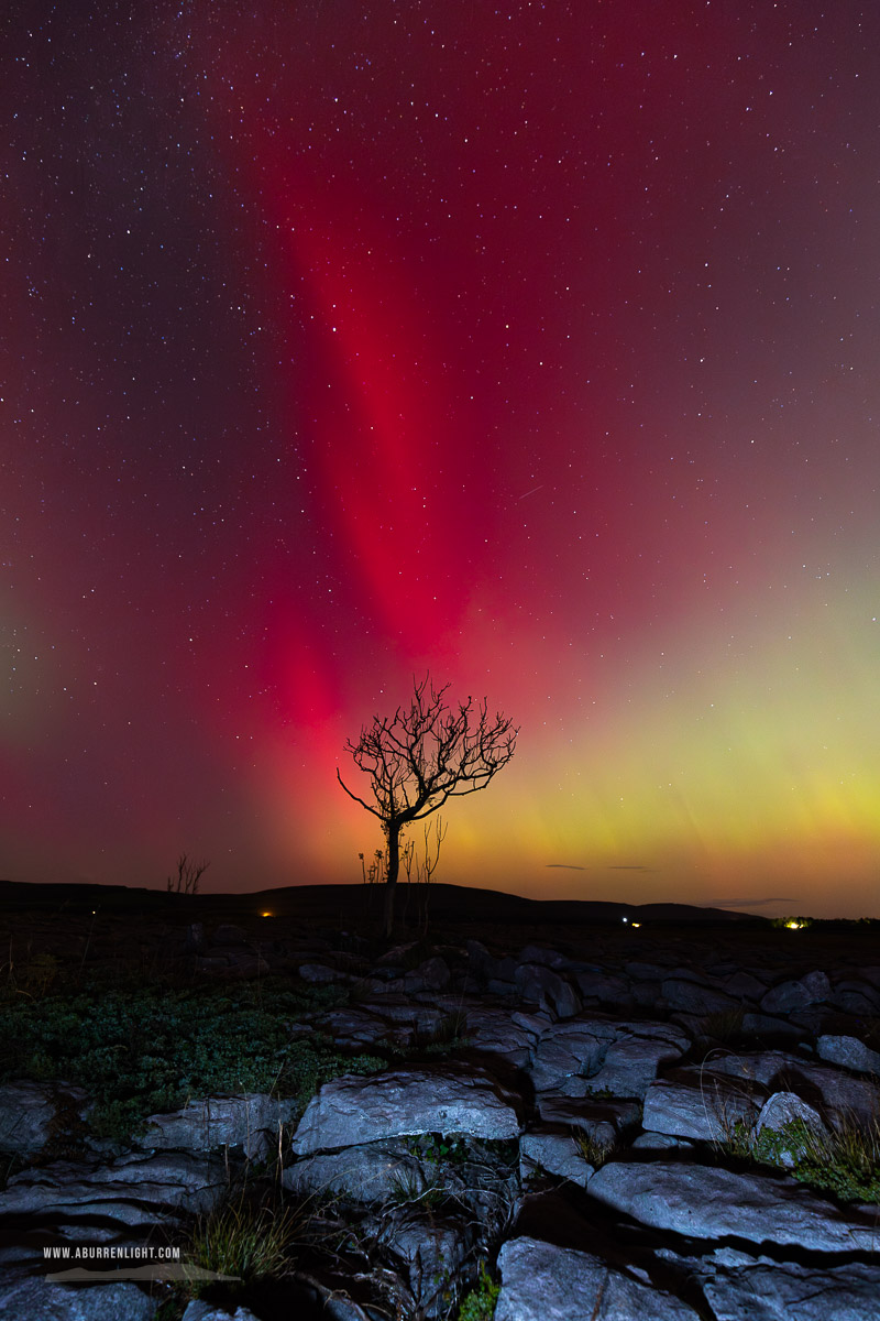 A Burren Lone Tree Clare Ireland - astro,aurora,autumn,lone tree,lowland,night,october,pilars,portfolio