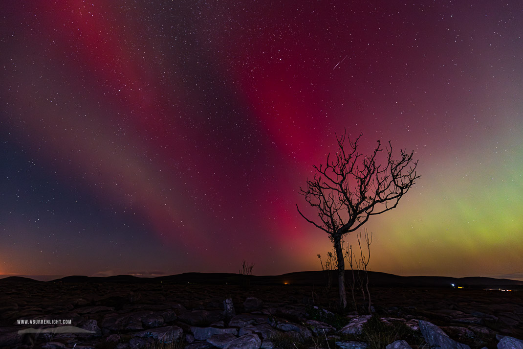 A Burren Lone Tree Clare Ireland - astro,aurora,autumn,lone tree,lowland,night,october,pilars