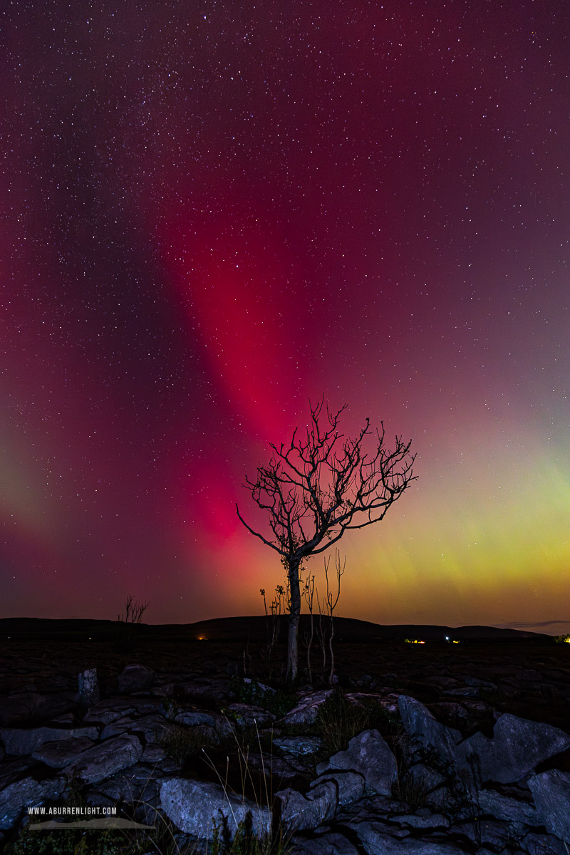 A Burren Lone Tree Clare Ireland - astro,aurora,autumn,lone tree,lowland,night,october,pilars