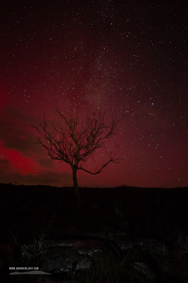 A Burren Lone Tree Clare Ireland - SAR,arc,astro,aurora,january,lone tree,long exposure,lowland,milky way,night,winter,portfolio