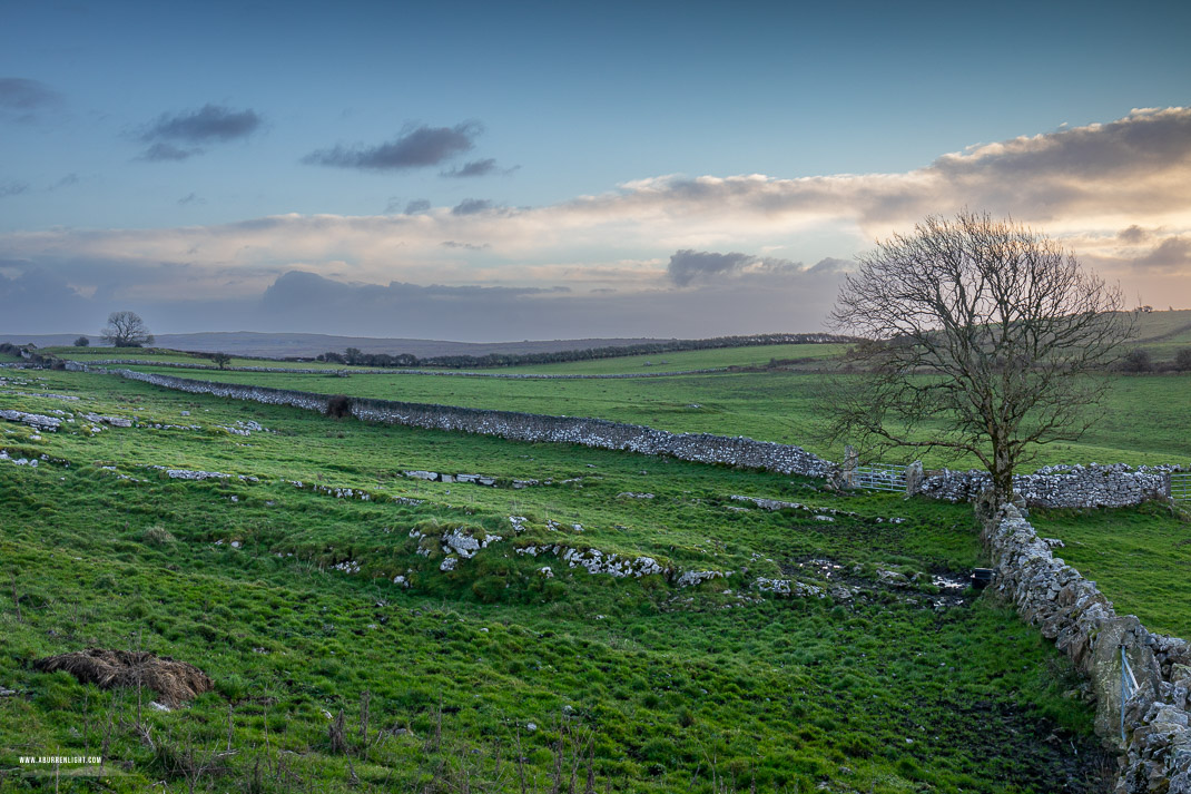 A Burren Lone Tree Clare Ireland - january,lone tree,sunrise,winter,hills,walls