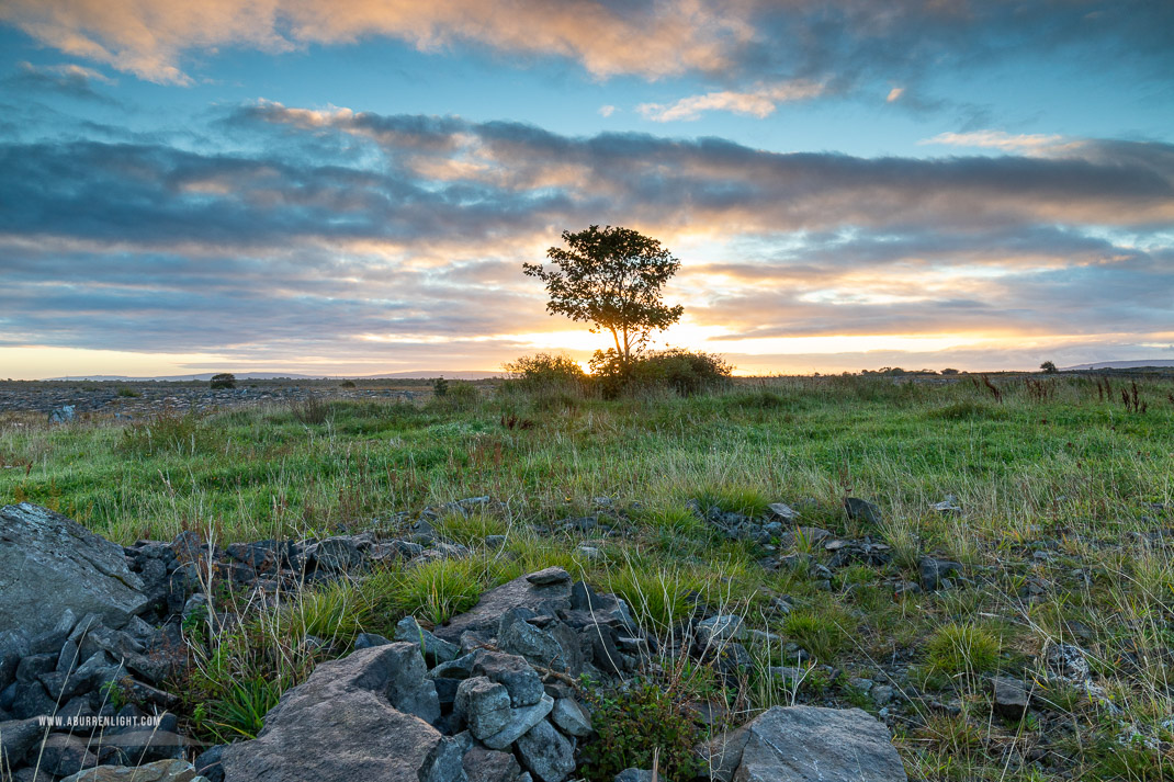 A Burren Lone Tree Clare Ireland - autumn,lone tree,october,sunrise,lowland