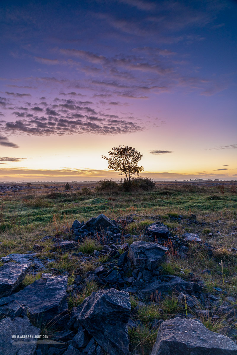 A Burren Lone Tree Clare Ireland - autumn,lone tree,long exposure,october,twilight,lowland