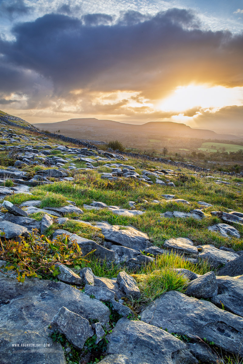 Fahee North Carron Burren East Clare Ireland - fahee,golden,hills,pick-hills,september,summer,sunrise,walls