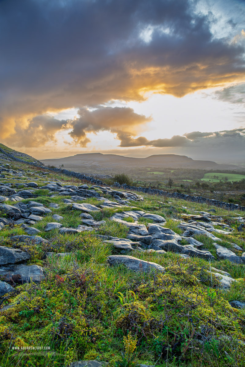Fahee North Carron Burren East Clare Ireland - fahee,golden,hills,pick-hills,september,summer,sunrise,walls