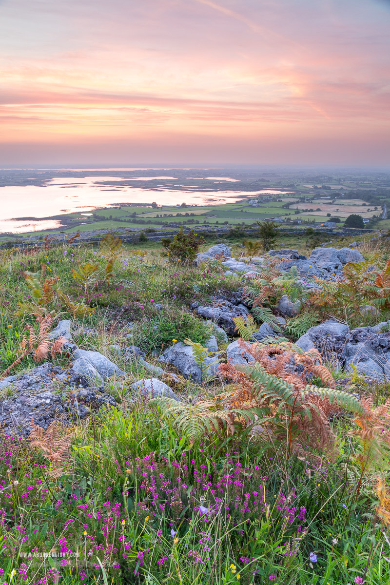 Abbey Hill Burren Clare Ireland - abbey hill,august,flower,heather,summer,twilight,hills,orange