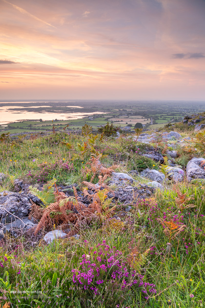 Abbey Hill Burren Clare Ireland - abbey hill,august,flower,heather,summer,twilight,hills,golden