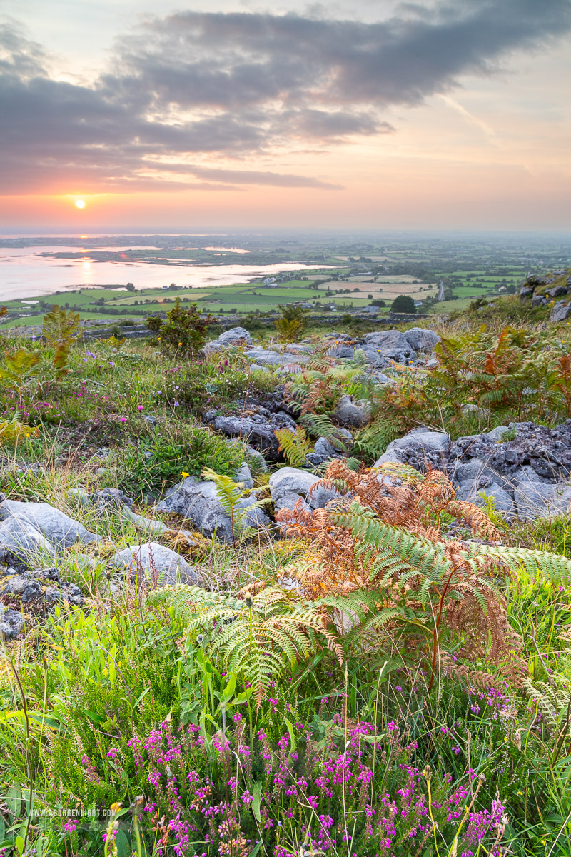 Abbey Hill Burren Clare Ireland - abbey hill,august,flower,heather,summer,twilight,hills,golden