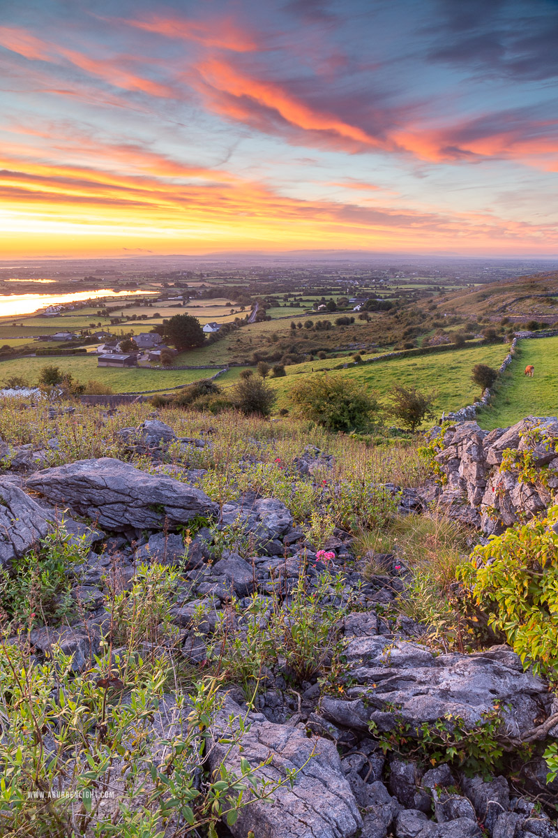 Abbey Hill Burren Clare Ireland - abbey hill,august,pink,rural,summer,sunrise,wall,portfolio,hills,golden