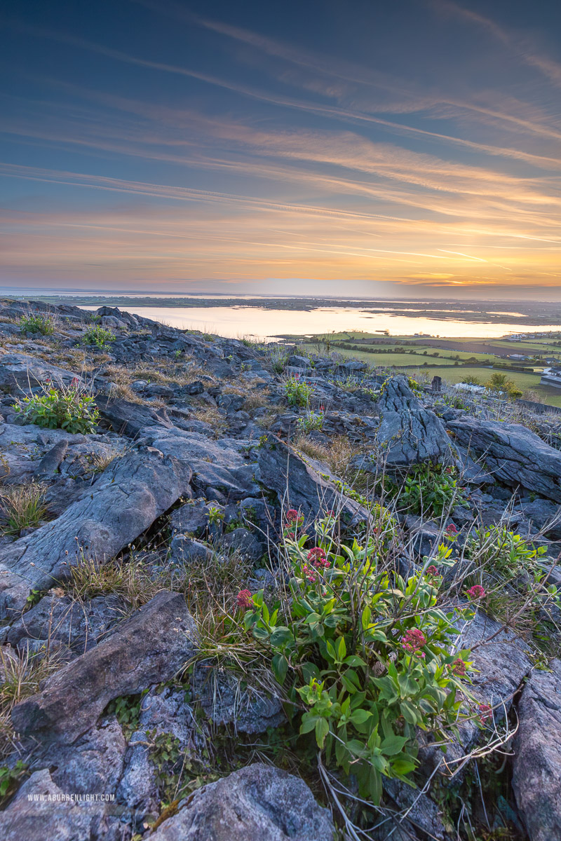 Abbey Hill Burren Clare Ireland - abbey hill,april,flowers,mist,valerian,spring,sunrise,twilight