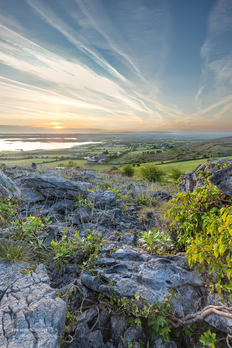 Abbey Hill Burren Clare Ireland - abbey hill,april,flowers,mist,valerian,spring,sunrise,twilight