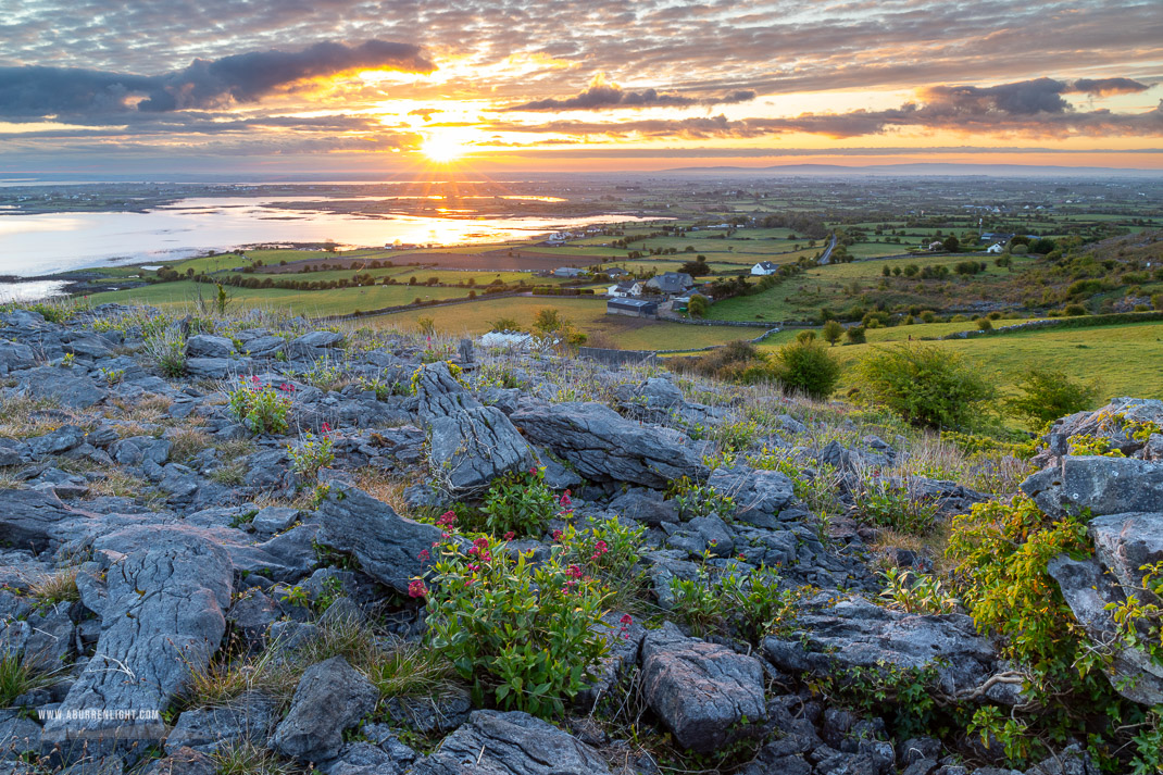 Abbey Hill Burren Clare Ireland - abbey hill,april,golden,hills,spring,sunrise,valerian