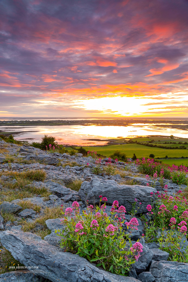 Abbey Hill Burren Clare Ireland - abbey hill,flowers,june,orange,red,spring,twilight,valerian,hills