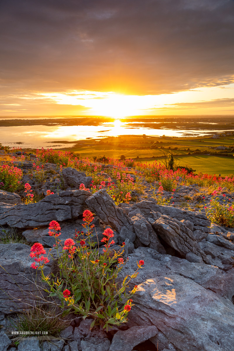 Abbey Hill Burren Clare Ireland - abbey hill,flowers,june,orange,red,spring,twilight,valerian,hills,golden