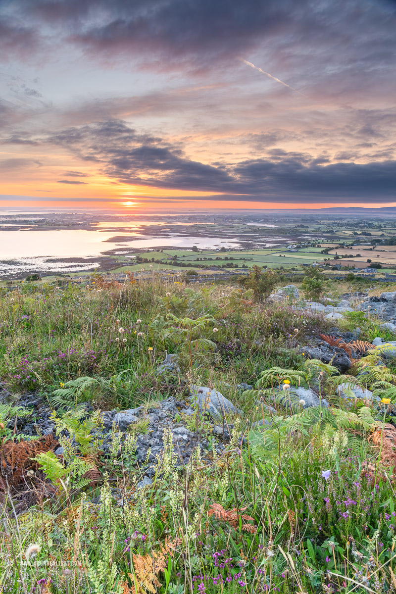 Abbey Hill Burren Clare Ireland - abbey hill,ferns,flower,hills,july,summer,sunrise,golden