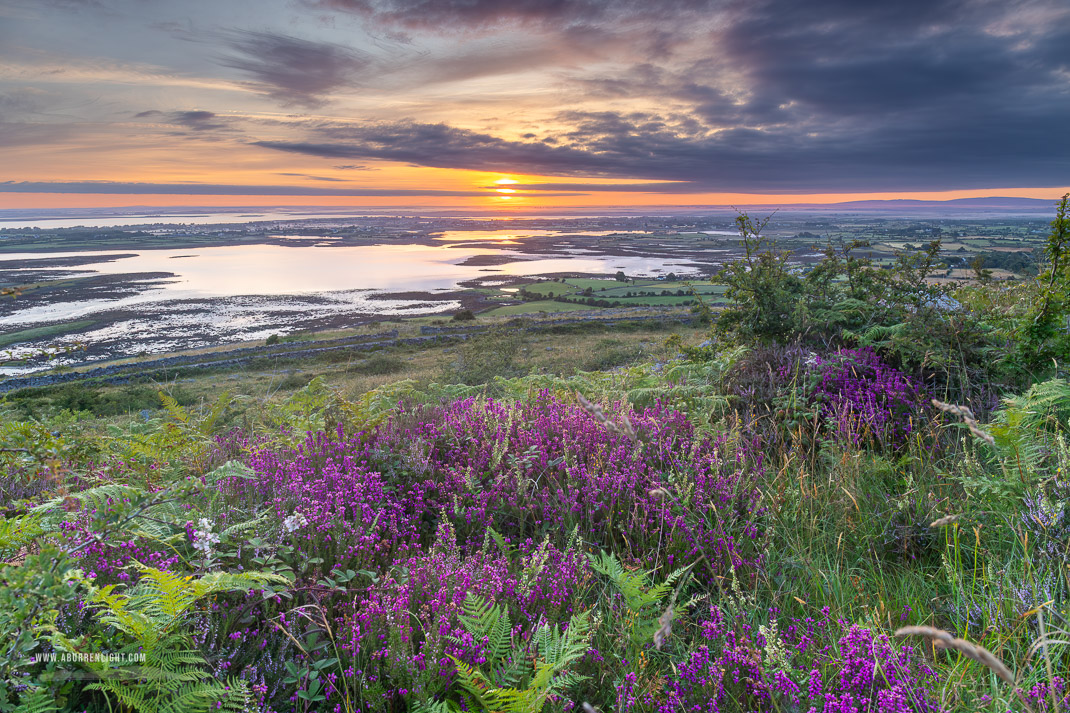 Abbey Hill Burren Clare Ireland - abbey hill,ferns,flower,heather,hills,july,summer,sunrise