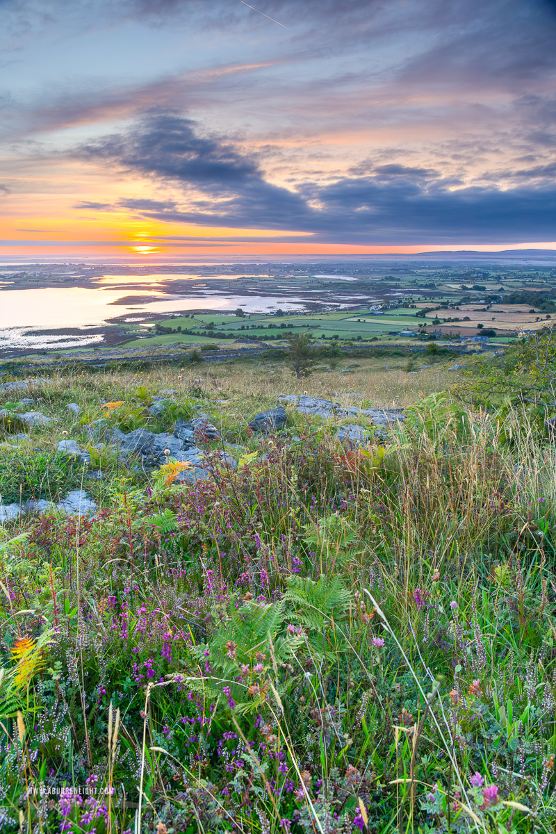 Abbey Hill Burren Clare Ireland - abbey hill,ferns,flower,golden,hills,july,summer,sunrise