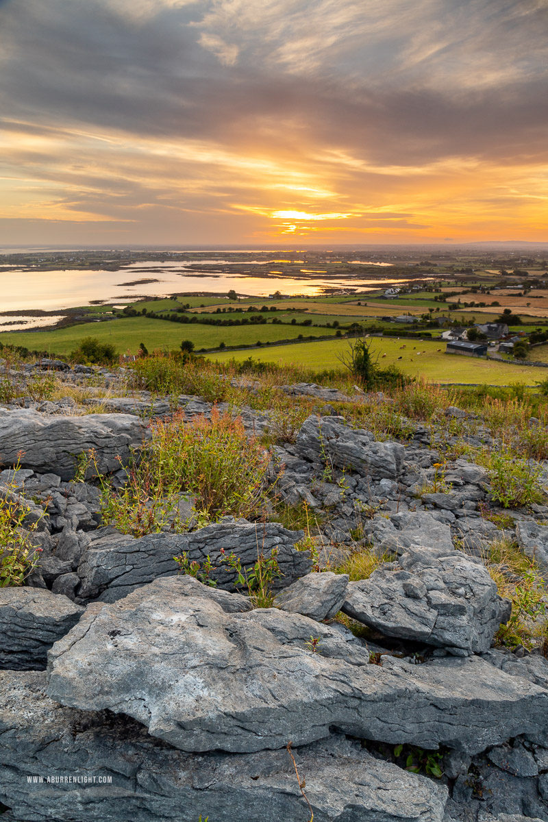 Abbey Hill Burren Clare Ireland - abbey hill,august,golden,hills,long exposure,orange,summer,sunrise,valerian