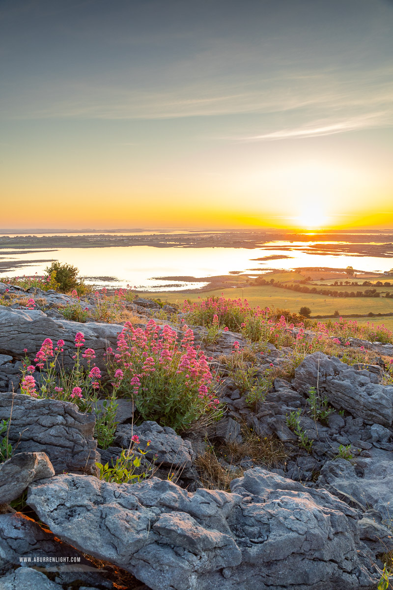 Abbey Hill Burren Clare Ireland - abbey hill,flowers,hills,may,spring,sunrise,valerian