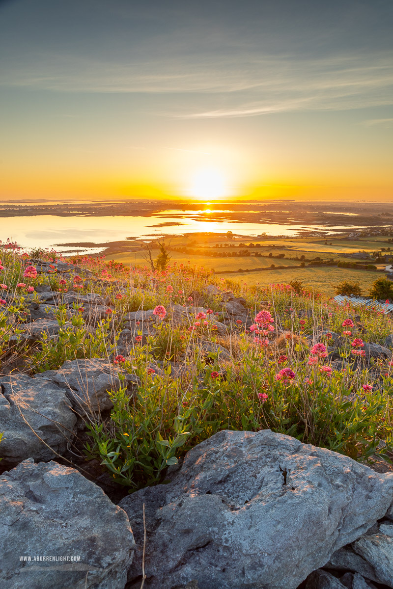 Abbey Hill Burren Clare Ireland - abbey hill,flowers,hills,may,spring,sunrise,valerian