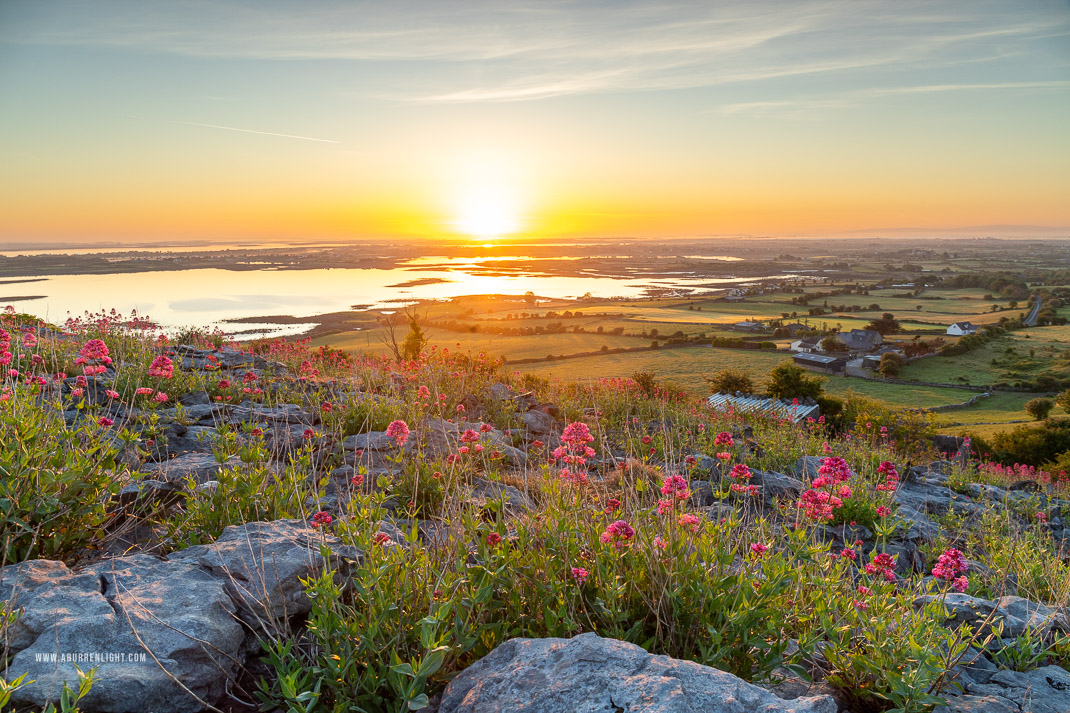 Abbey Hill Burren Clare Ireland - abbey hill,flowers,hills,may,spring,sunrise,valerian