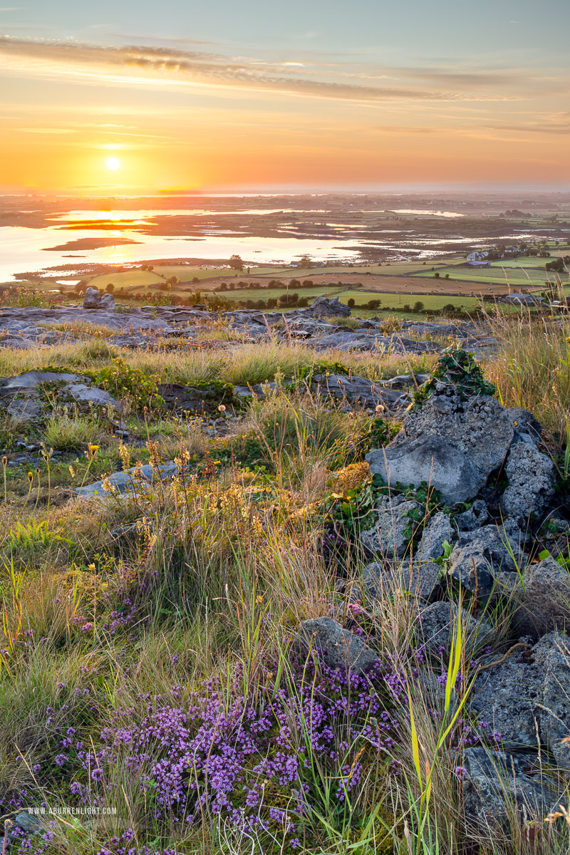 Abbey Hill Burren Clare Ireland - abbey hill,flowers,golden,hills,ivy,july,portfolio,summer,sunrise,monthly-pick