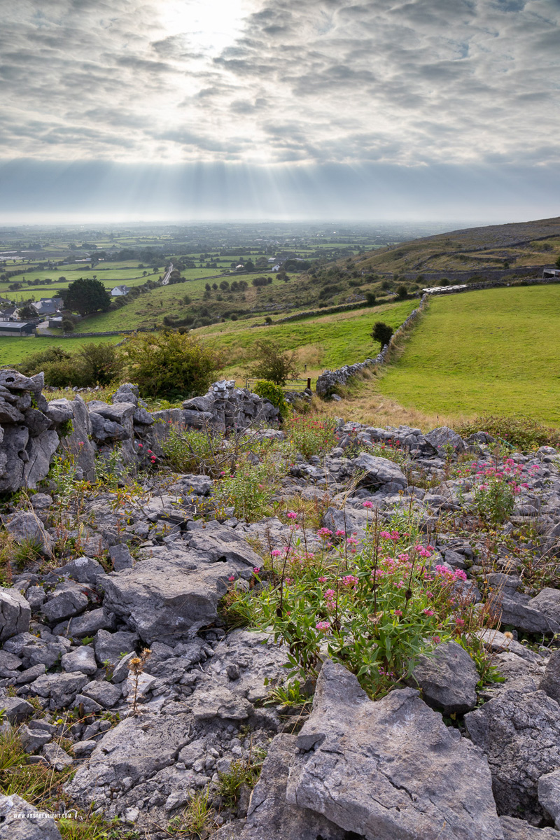 Abbey Hill Burren Clare Ireland - abbey hill,flowers,september,summer,sunrise,valerian,hills