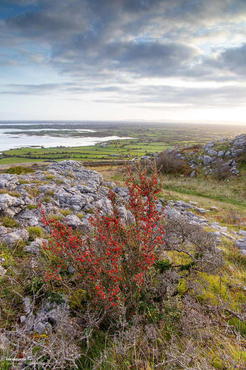 Abbey Hill Burren Clare Ireland - abbey hill,autumn,november,sunrise,hills