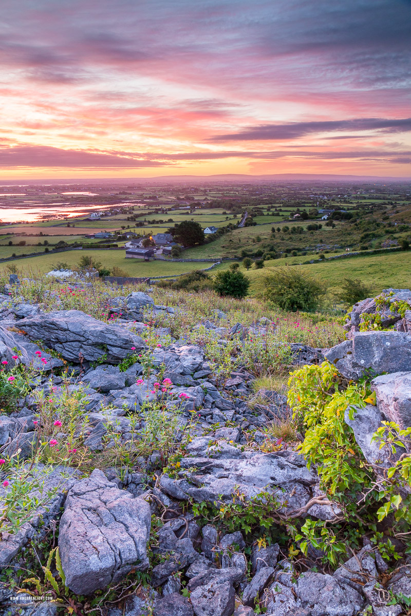 Abbey Hill Burren Clare Ireland - abbey hill,august,flower,summer,twilight,hills,valerian,wall,pink