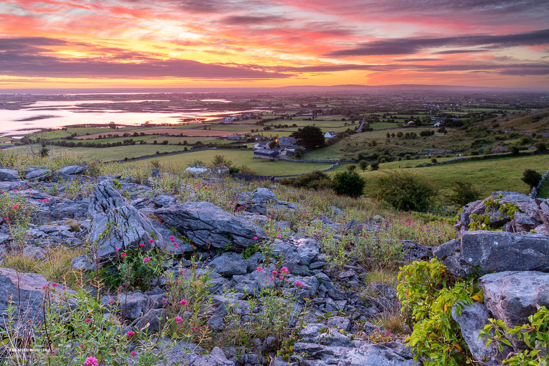 Abbey Hill Burren Clare Ireland - abbey hill,august,flower,summer,twilight,hills,valerian,pink,orange