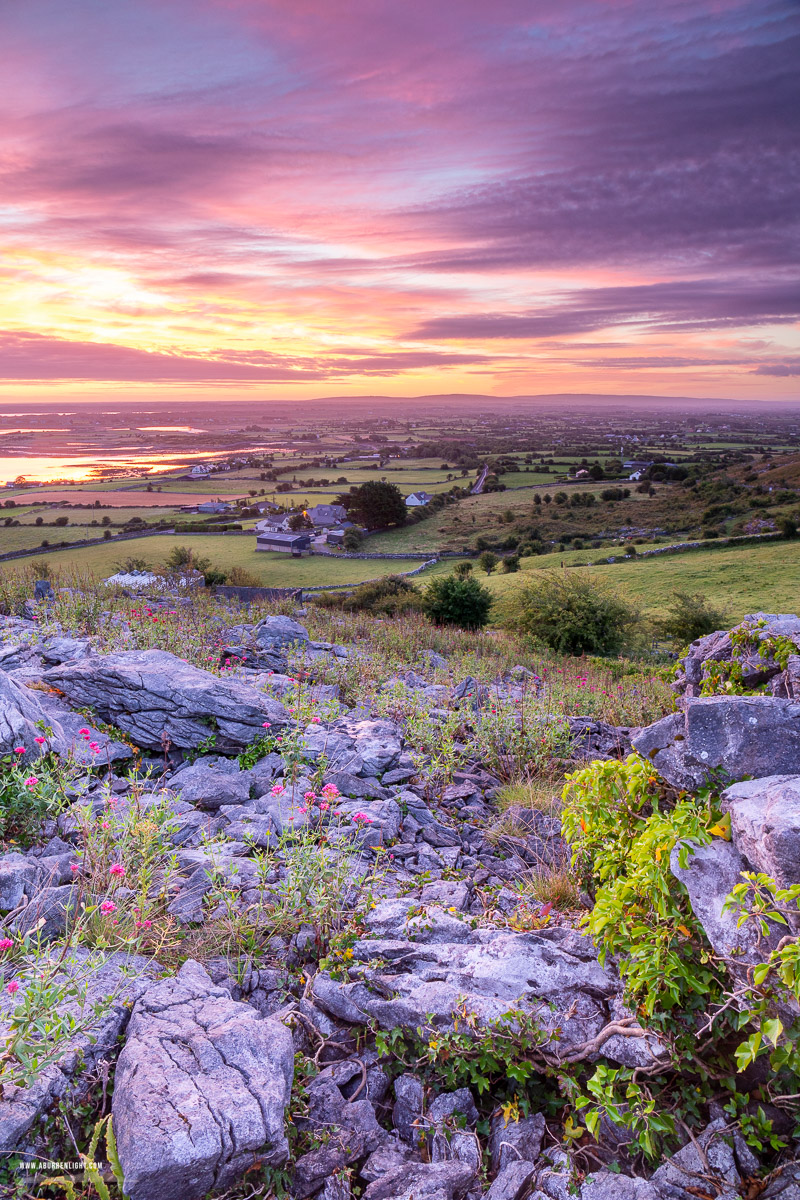 Abbey Hill Burren Clare Ireland - abbey hill,august,flower,limited,summer,twilight,portfolio,hills,valerian,pink,mauve,magenta