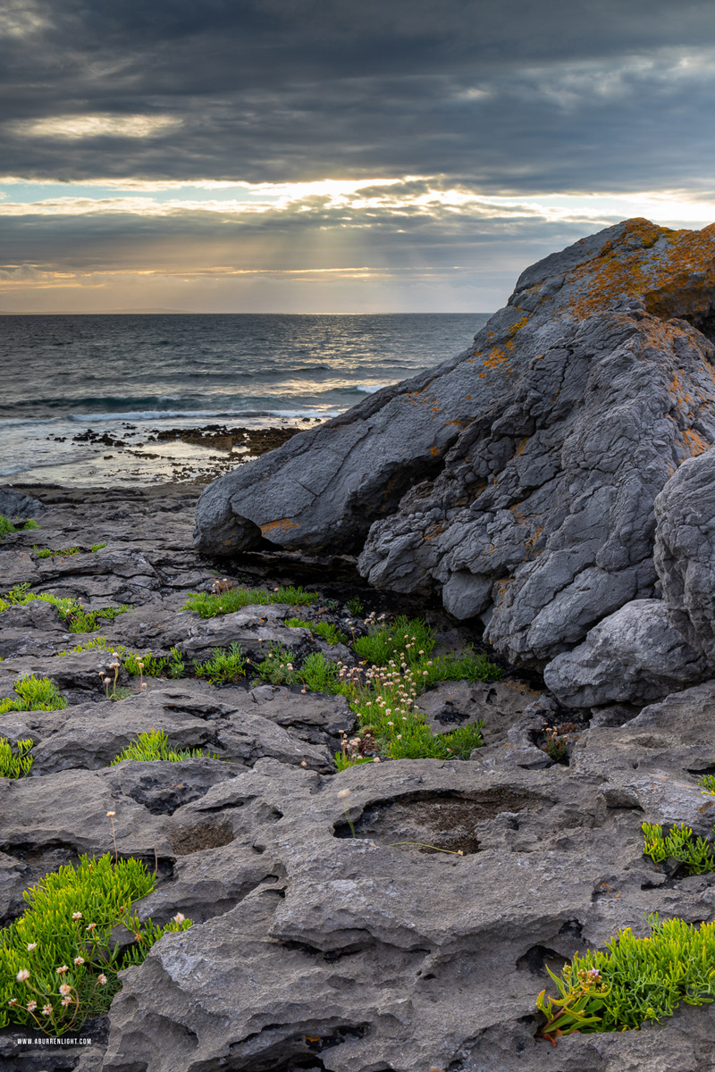 Ballyreane Fanore Clare Ireland - ballyreane,fanore,flowers,july,summer,sunset,coast