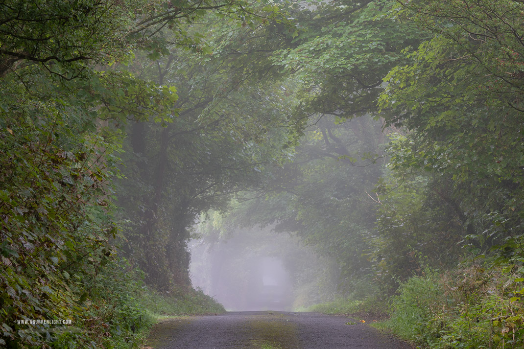 Boston Clare Ireland - boston,lowland,mist,september,summer,trees