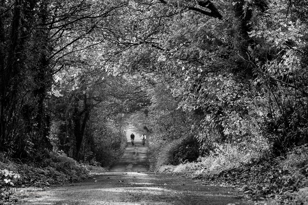 Boston Clare Ireland - autumn,b&w,boston,lowland,october,trees